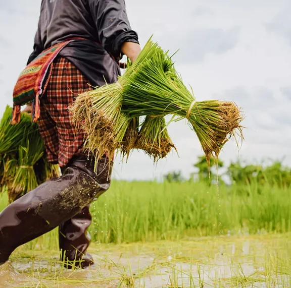 There are many variations of passages of Lorem Ipsum available, but majority have suffered teration in some form, by injected humour, or randomised words which don't look even slight believable. If you are going to use a passage of Lorem Ipsum.